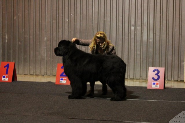 Фотография № 110116