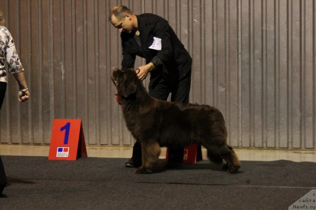 Фотография № 110124