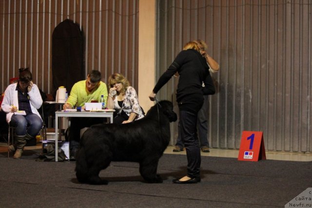 Фотография № 110126