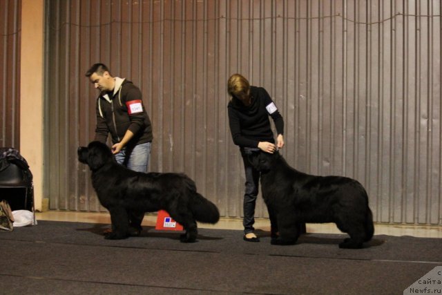 Фотография № 110127