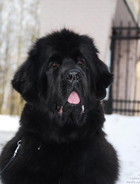 Фотография № 11013