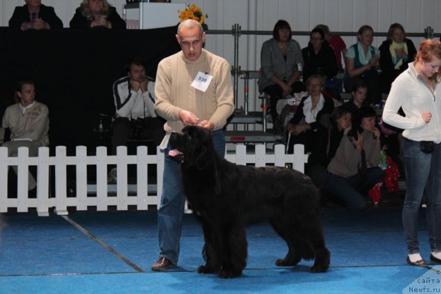 Фотография № 110134