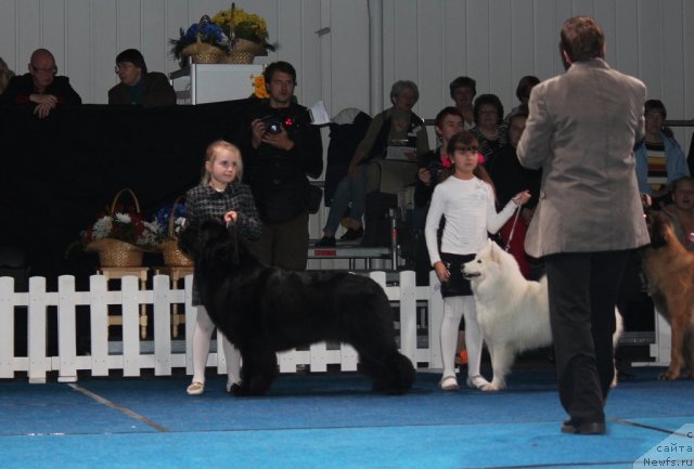 Фотография № 110135