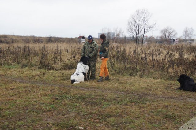 Фотография № 110151