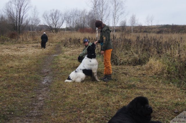 Фотография № 110152