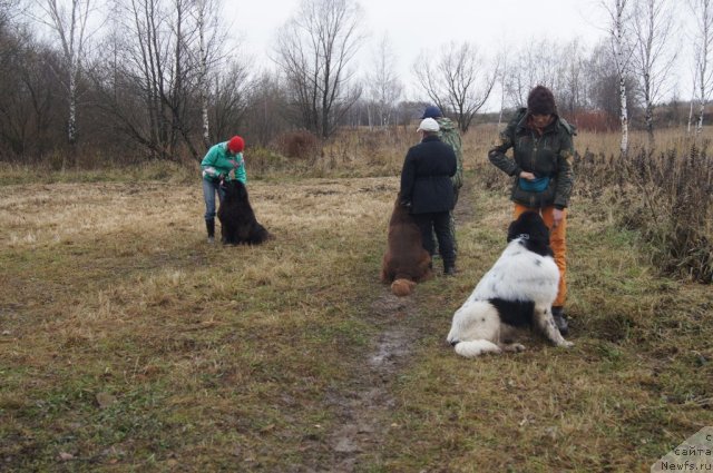 Фотография № 110154