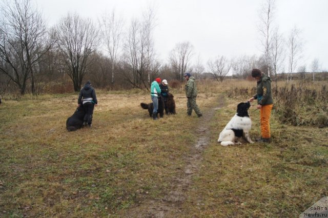 Фотография № 110156