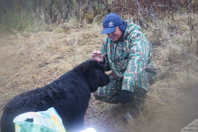 Фотография № 110160