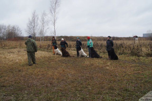 Фотография № 110162