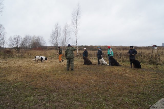 Фотография № 110163