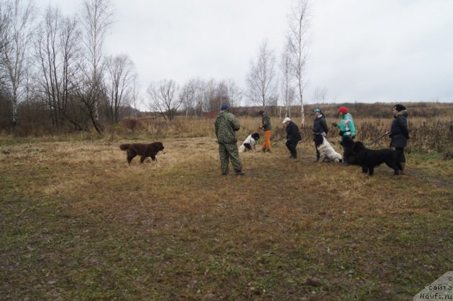 Фотография № 110164