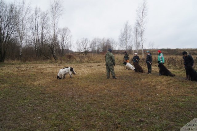 Фотография № 110165