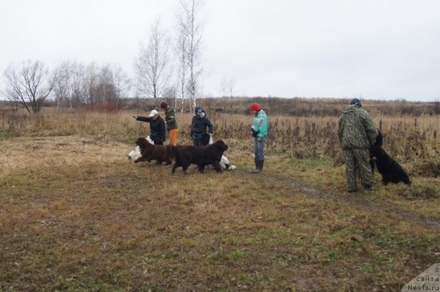 Фотография № 110167