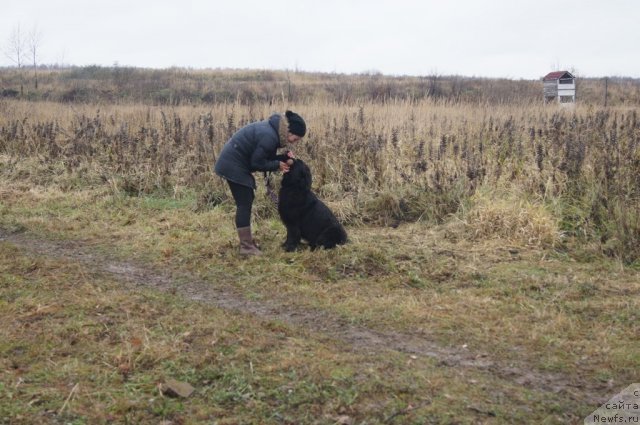 Фотография № 110170