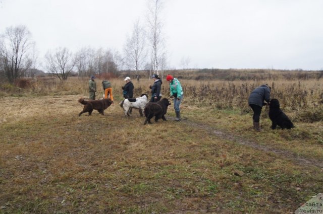 Фотография № 110172