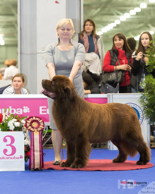 Фотография № 110198