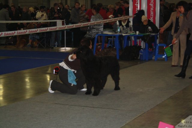 Фотография № 110215