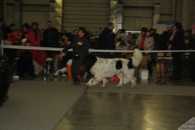 Фотография № 110216