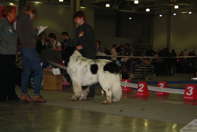 Фотография № 110217