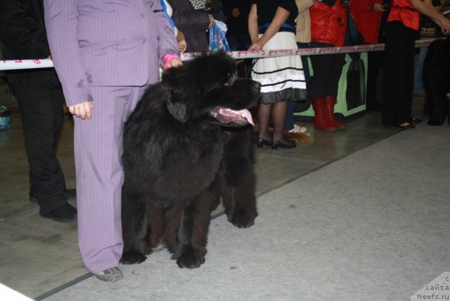 Фотография № 110221