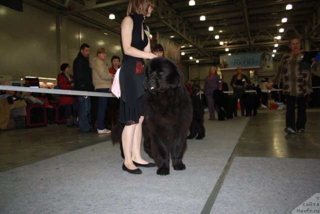 Фотография № 110226