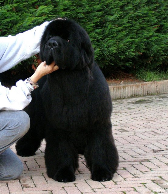 Фотография № 110258