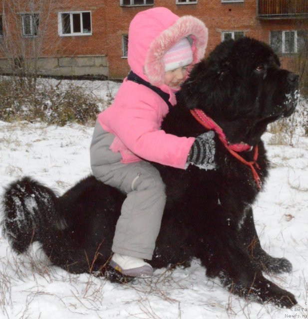 Фото: Арх Бьюти Одри Вольная Птица и Настенька