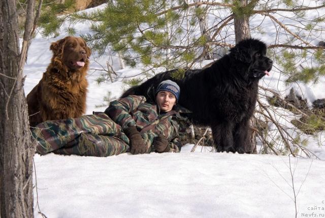 Фото: ньюфаундленд Lesnaya Skazka Izol'da (Лесная Сказка Изольда), Igor' Momot (Игорь Момот), ньюфаундленд Ygan s Toyanova Gorodka (Юган с Тоянова Городка)