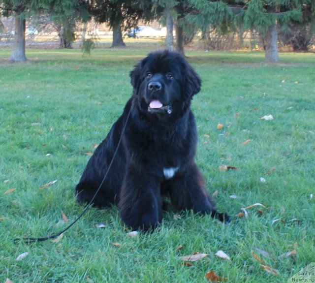 Фотография № 110356