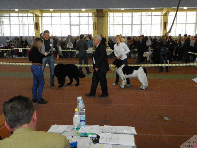 Фотография № 110375