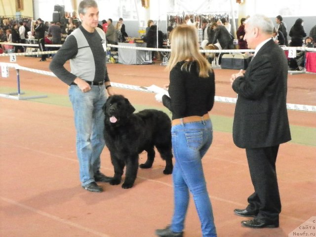 Фотография № 110376