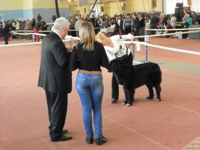 Фотография № 110377