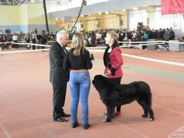 Фотография № 110378