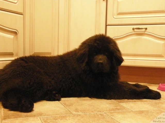 Фотография № 110411