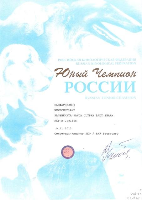 Фото: ньюфаундленд Plushevaya Panda Ulybka Ledi Scharm (Плюшевая Панда Улыбка Леди Шарм)