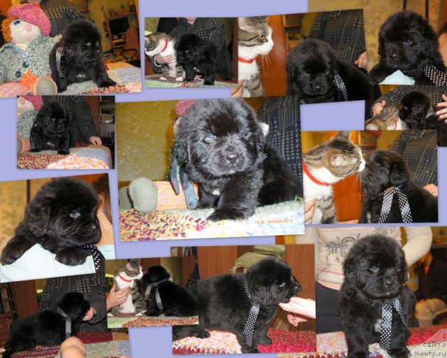 Фото: Natal'ya Smirnova (Наталья Смирнова)