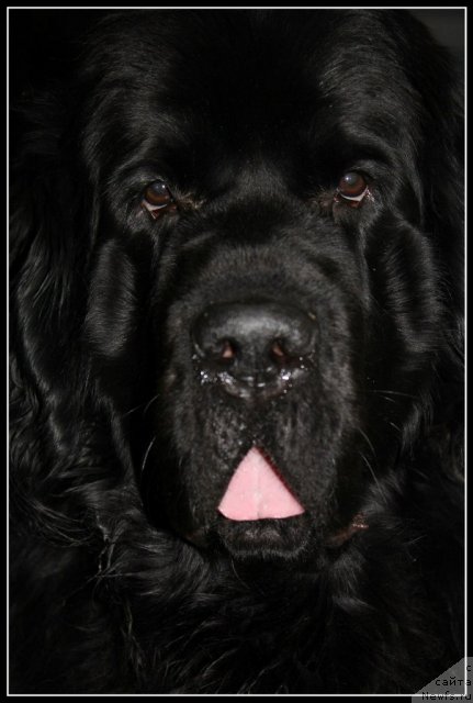 Фотография № 110567