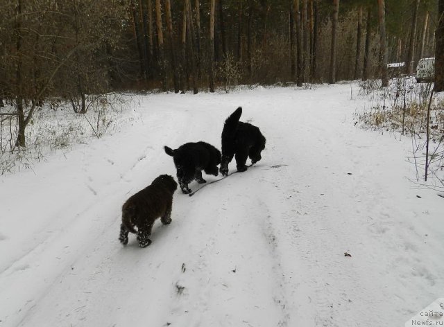 Фотография № 110612