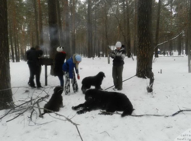 Фотография № 110613