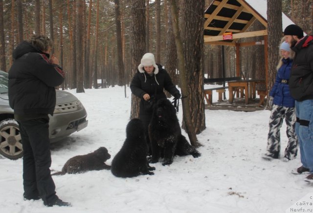 Фотография № 110615