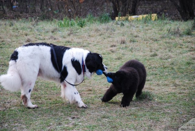 Фотография № 110629