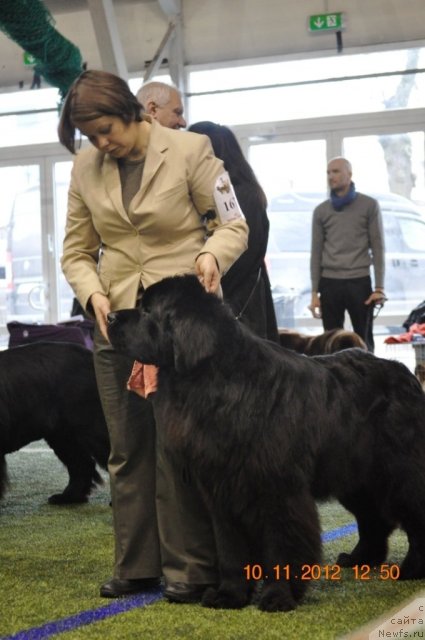 Фотография № 110635