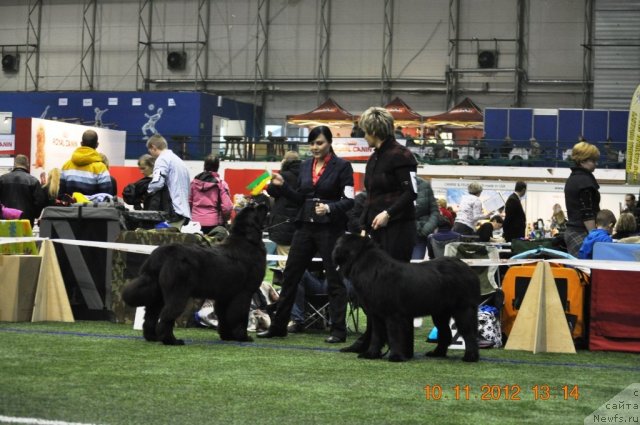 Фотография № 110643