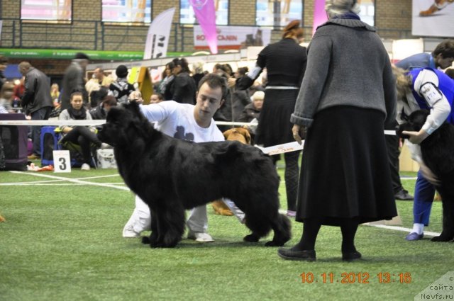 Фотография № 110645