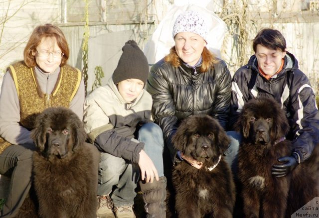 Фото: Galina Akulina (Галина Акулина), ньюфаундленд Beguschaya po Volnam Shaolin (Бегущая по Волнам Шаолинь), ньюфаундленд Beguschaya po Volnam SHadu Ladu (Бегущая по Волнам Шаду Ладу), ньюфаундленд Beguschaya po Volnam Shaman (Бегущая по Волнам Шаман)