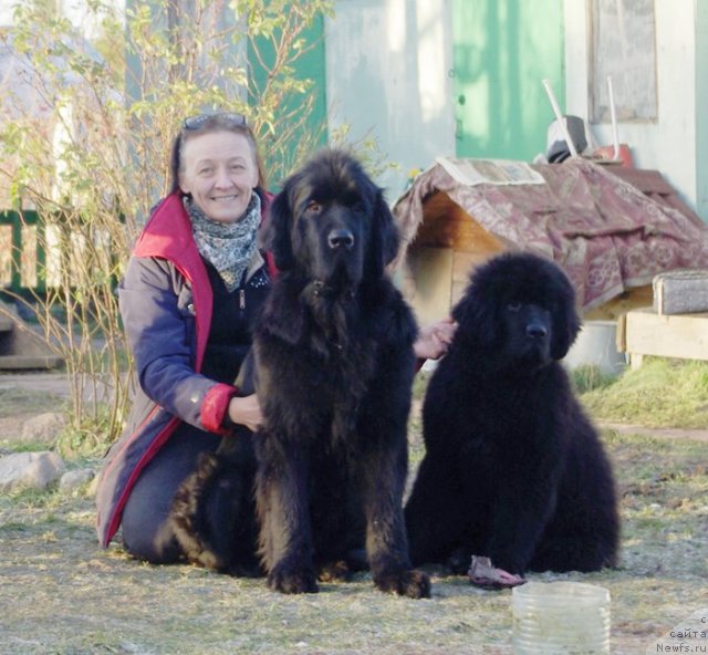 Фото: Ol'ga Koroleva (Ольга Королева), ньюфаундленд Beguschaya po Volnam Harizma (Бегущая по Волнам Харизма), ньюфаундленд Beguschaya po Volnam Shaolin (Бегущая по Волнам Шаолинь)