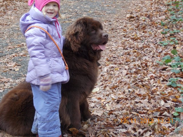 Фотография № 110720