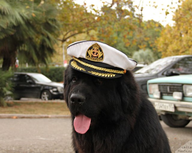 Фотография № 110769