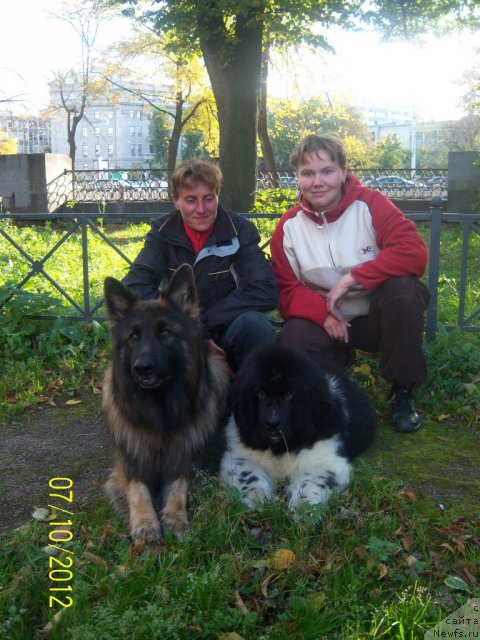 Фото: ньюфаундленд Pitern'yuf CHinako Blanko (Питерньюф Чинако Бланко), Elena Orlova (Елена Орлова), Natal'ya Ivanova (Наталья Иванова)