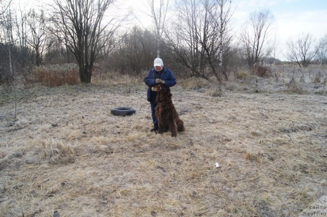 Фотография № 110802